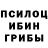 Галлюциногенные грибы прущие грибы Aiza Toktomusheva