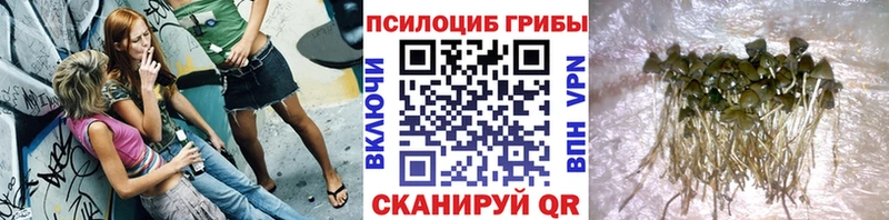 Галлюциногенные грибы GOLDEN TEACHER  ссылка на мегу зеркало  Братск 