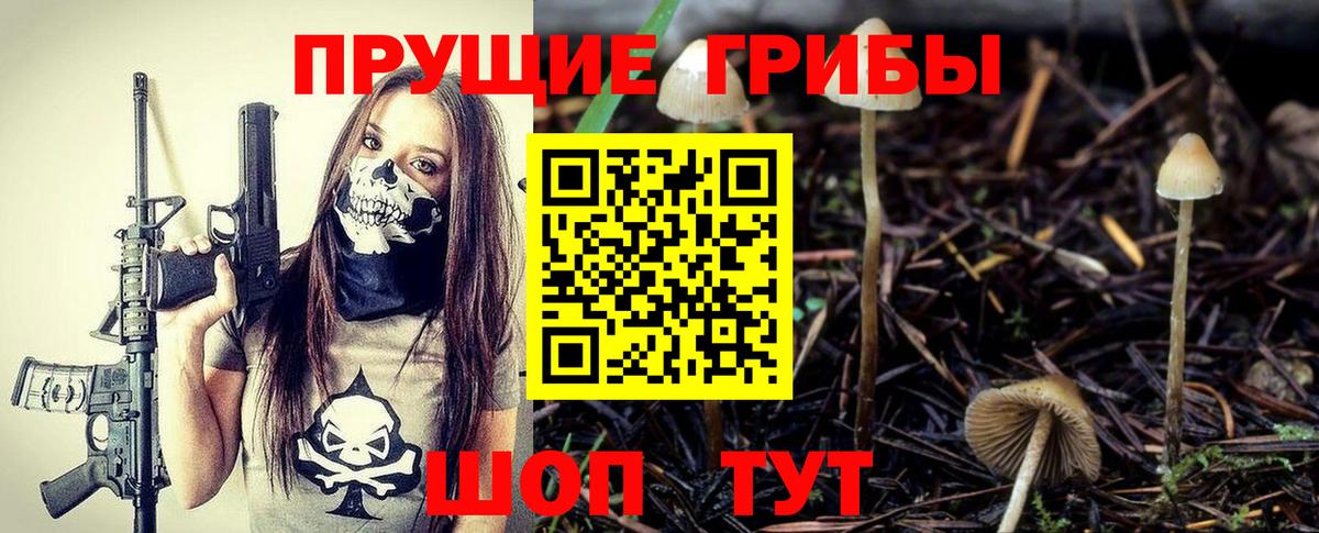 Галлюциногенные грибы прущие грибы Братск