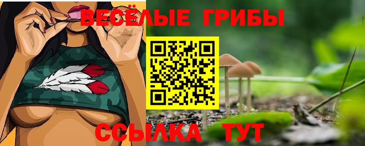 Галлюциногенные грибы мухоморы  как найти закладки  Братск  Вход с VPN  Псилоцибиновые грибы Cubensis 